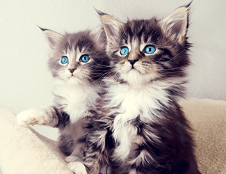 學習CAD!每天五個小技巧!這個系列趕快收藏!