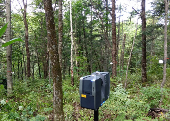 三維激光掃描儀在林業調查中的應用